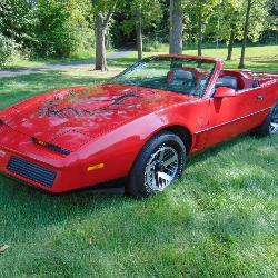 1984 Pontiac Firebird