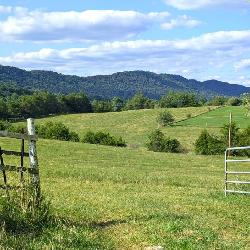 Mountain Views