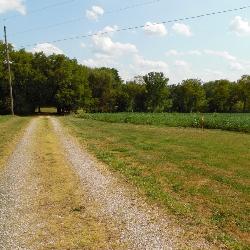 17+ ACRES WASHINGTON COUNTY