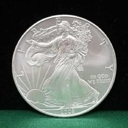 2008 Uncirculated Walking Liberty Coin. 1oz