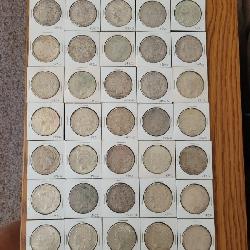 Morgan Silver Dollar Collection