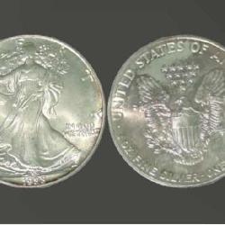 American Silver eagle 1988