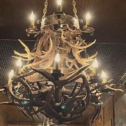 Elk antler light fixture