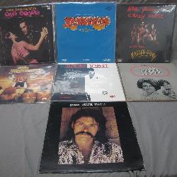 Assorted Vintage Vinyl Records