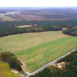 89 Acres For Sale