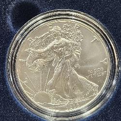 2020 W  American Eagle 1 oz. Silver UNC Coin