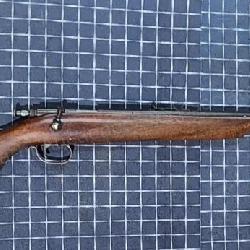 byron 22 cal long Rifle Remington Model 41