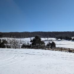 Hilltop Views