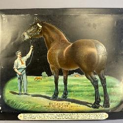 Dr LeGear The Giant Horse Veteranian Stock Poultry Remedies Tin Over Cardboard Sign 