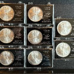 Lot# 33 (8) 1995 1 Troy Oz. American Silver Eagle Coins Group #1