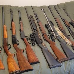 shotguns, Rifles, Firearms