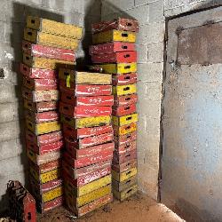 Shirley Farms Liquidation - Belton, SC - Meares Property Advisors, Inc