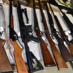 Shotguns and Rifles