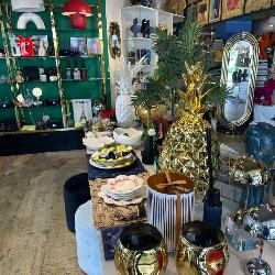 The Bazaar Project Coconut Grove, LLC