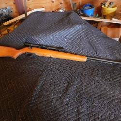 Remington Model 582 .22 SL or LR
