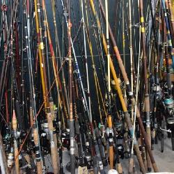 Fishing Rods & Reels