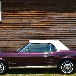 1967 Ford Mustang Convertible 289 V8