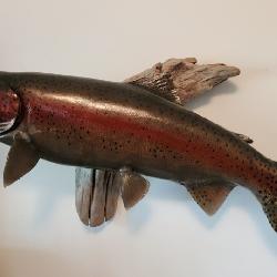 Fish Taxidermy