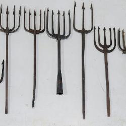 Several Hand Forged 19th Century Fishing/Frog Forks and Harpoons
