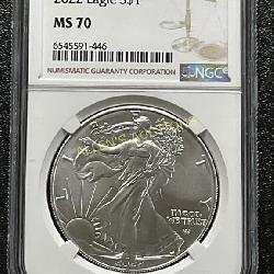 2022 Silver Eagle $1 ï¿½Graded Coin