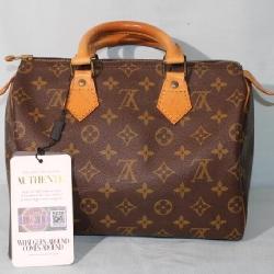 Louis Vuitoon Monogram Speedy 25