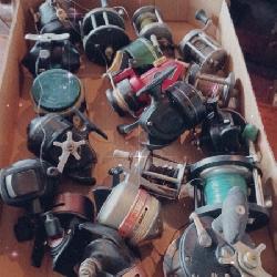 100 + Spinning Reels