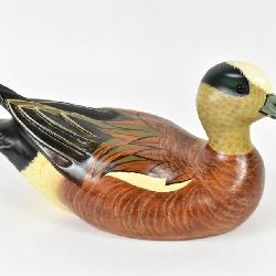 Duck Decoy