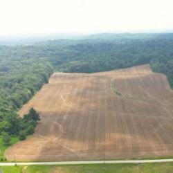 Farmland, Wooded Acres & Home in Elberfeld, IN
