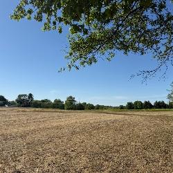 Quality Tillable Land & Beautiful Potential Building Sites!