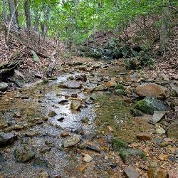 Mountain Stream