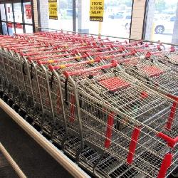 2021 Shopping Carts - Cart Source