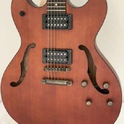 Washburn HB-32DM Hollowbody Electric Guitar