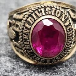1976 Southern Division Championship Crimson Tide
