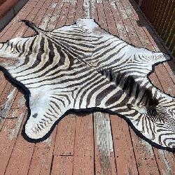 Zebra Rug