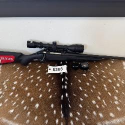 Ruger American. .243 win. Bushnell 4x12 optic.