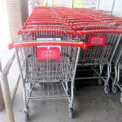 Shopping Carts