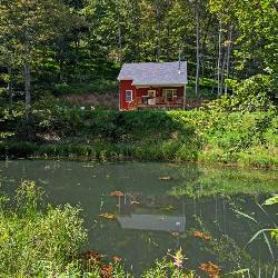Stocked Pond