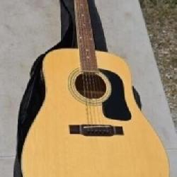Washburn guitar with case