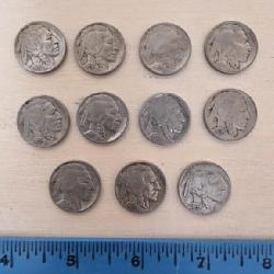 11 Buffalo Indian Head Nickels