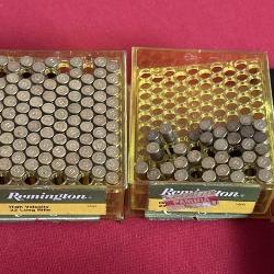 Remington 22 Long Ammo