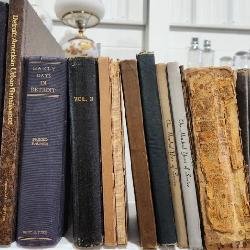 Antique Detroit, Michigan Books
