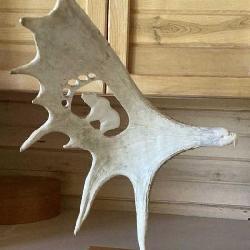 Polmated antler carving of eagle