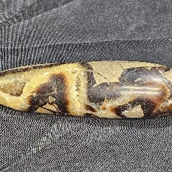 Large Cigar Shaped Piece of Septarian Stone