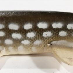 Vintage 'Musky' Fishing Decoy Lure