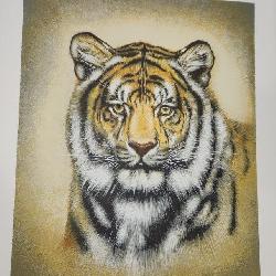 3 Exotic Cats of the World Artist Proofs- Katon