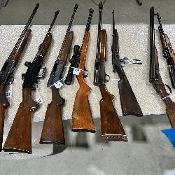 Rifles & Shotguns