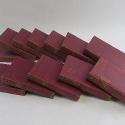 1902 Edgar Allan Poe Complete Works VOL 1-12