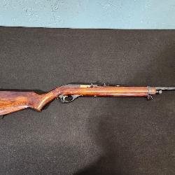 Marlin Glenfield model 75  22 semi auto