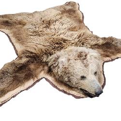 Grizzly Bear Rug