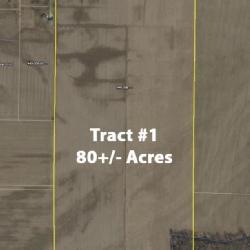 80 ACRES on MEINSCHEIN RD MT VERNON, IN